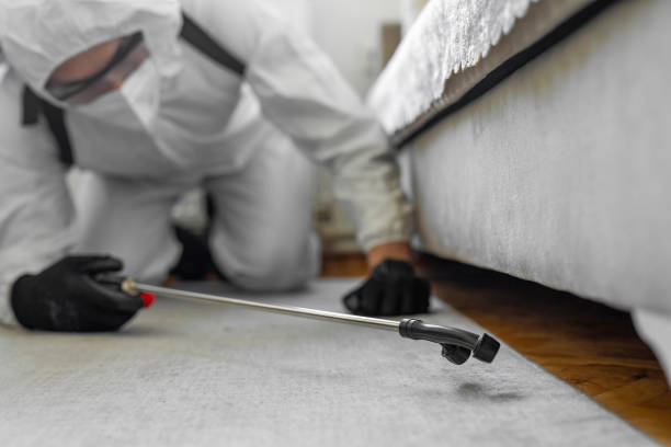 Professional Bed Bug Control technician working in Girard, IL