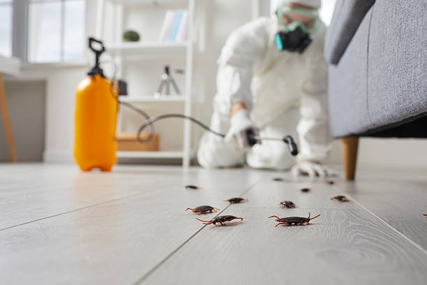 Affordable Bed Bug Control solutions in Girard, IL